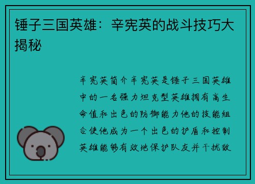 锤子三国英雄：辛宪英的战斗技巧大揭秘